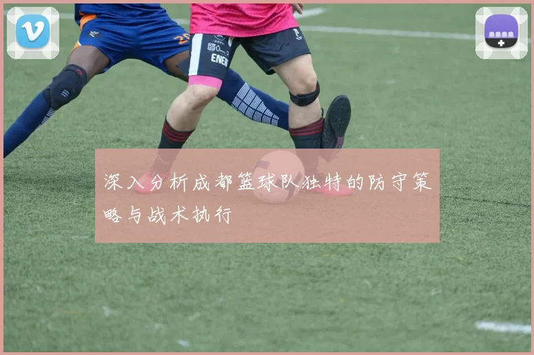 深入分析成都篮球队独特的防守策略与战术执行