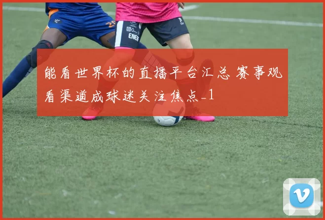 能看世界杯的直播平台汇总 赛事观看渠道成球迷关注焦点_1