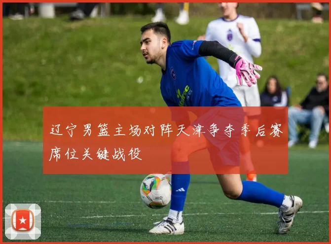 辽宁男篮主场对阵天津争夺季后赛席位关键战役