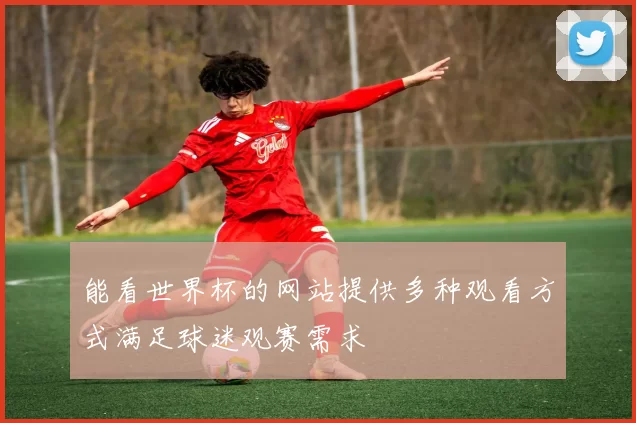 能看世界杯的网站提供多种观看方式满足球迷观赛需求