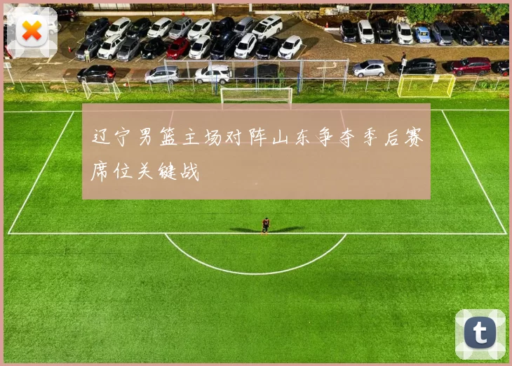 辽宁男篮主场对阵山东争夺季后赛席位关键战