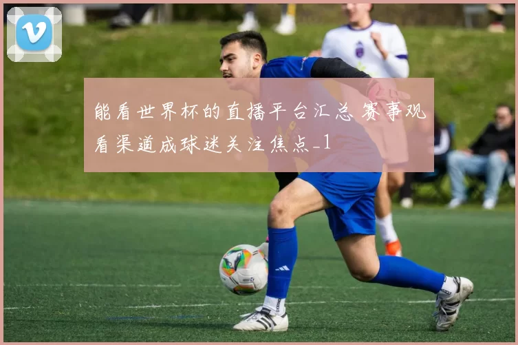 能看世界杯的直播平台汇总 赛事观看渠道成球迷关注焦点_1